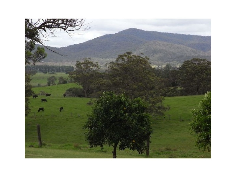 339 Turners Flat Road, Turners Flat NSW 2440