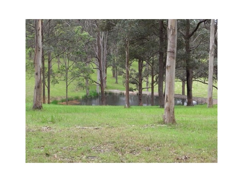 339 Turners Flat Road, Turners Flat NSW 2440