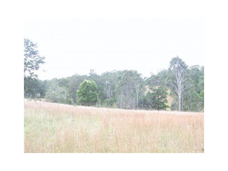 Lot 3, 320 Mines Road, Deep Creek NSW 2440