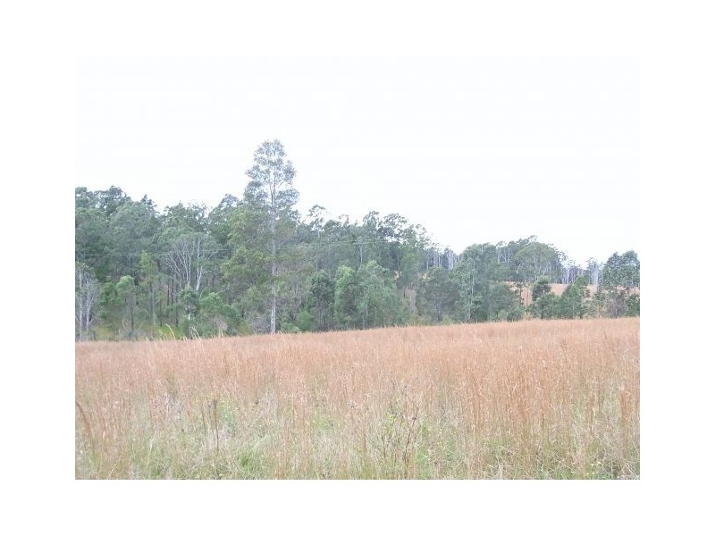 Lot 3, 320 Mines Road, Deep Creek NSW 2440