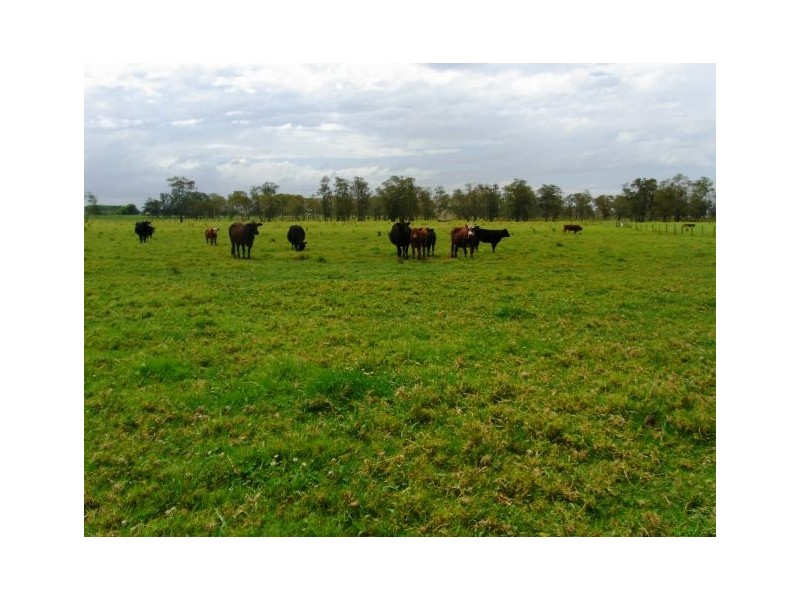 639 Right Bank Rd, Belmore River NSW 2440