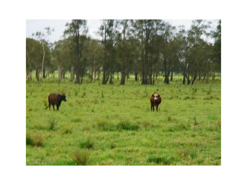 639 Right Bank Rd, Belmore River NSW 2440