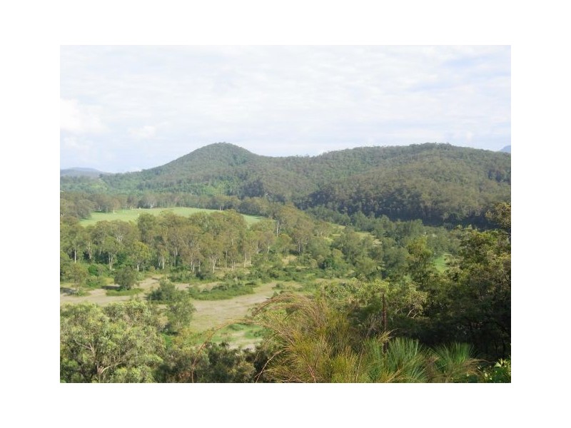 2885 Armidale Road, Hickeys Creek NSW 2440