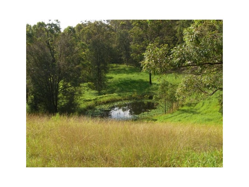 2885 Armidale Road, Hickeys Creek NSW 2440