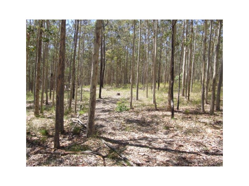 46 Jin Sha Lane, Kempsey NSW 2440