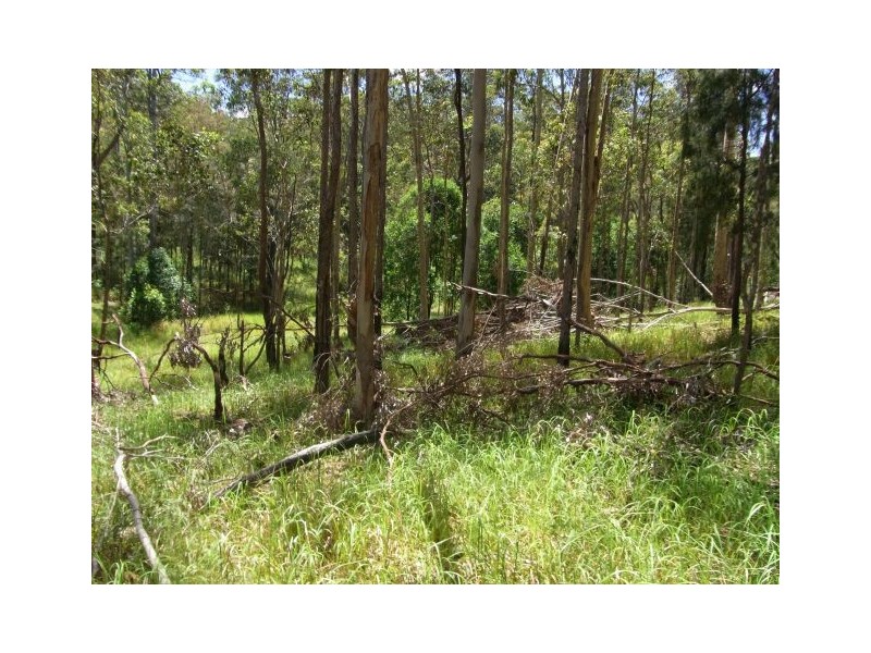 46 Jin Sha Lane, Kempsey NSW 2440