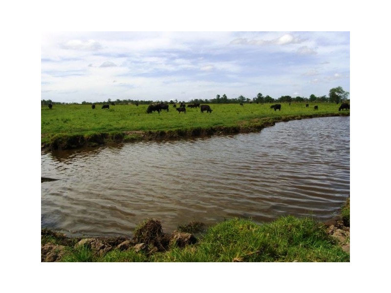 222 EUROKA ROAD, Euroka NSW 2440