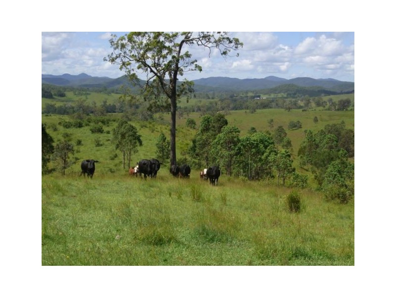 704.0 Warbro Brook, Kempsey NSW 2440