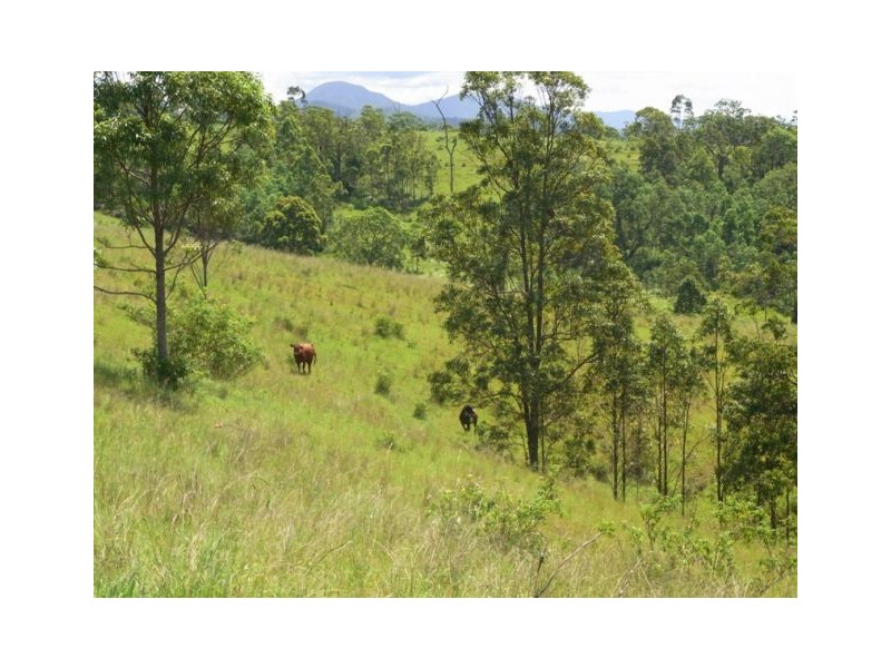 704.0 Warbro Brook, Kempsey NSW 2440