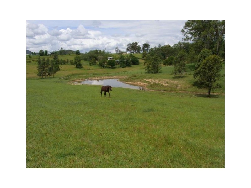 WILLIAM TOZER STREET, Bellbrook NSW 2440