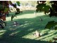 72 Lawrences Road, Kempsey NSW 2440