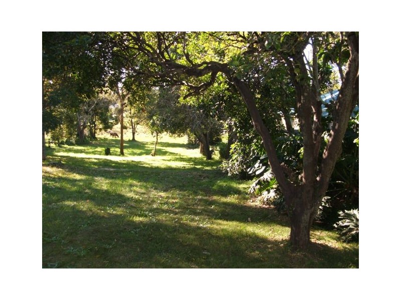 28 Bissett Street, Kempsey NSW 2440