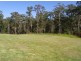 Lot 237 Chain O Ponds Road, Collombatti NSW 2440