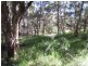 Lot 237 Chain O Ponds Road, Collombatti NSW 2440