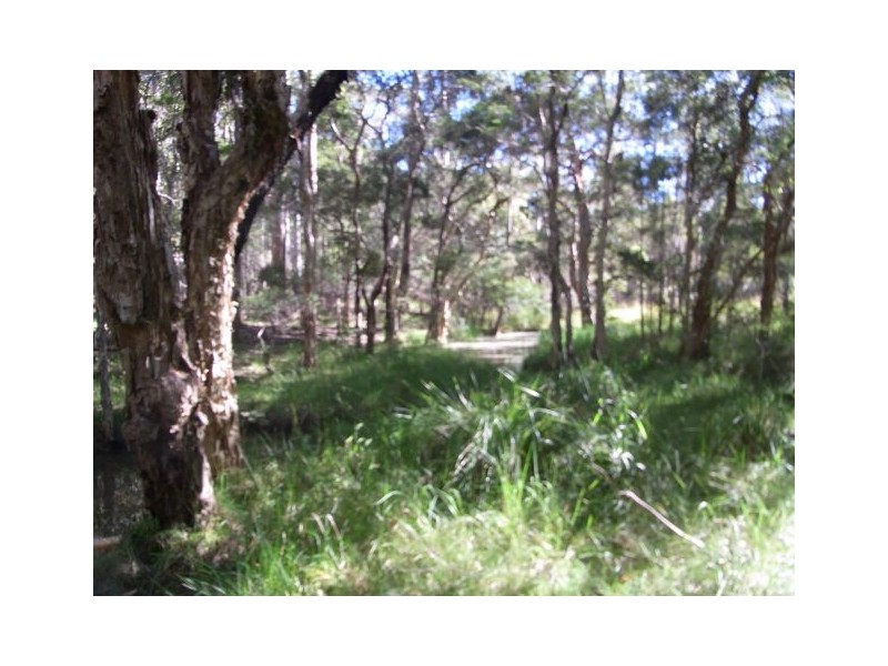 Lot 237 Chain O Ponds Road, Collombatti NSW 2440
