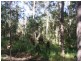Lot 237 Chain O Ponds Road, Collombatti NSW 2440