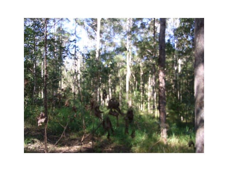 Lot 237 Chain O Ponds Road, Collombatti NSW 2440