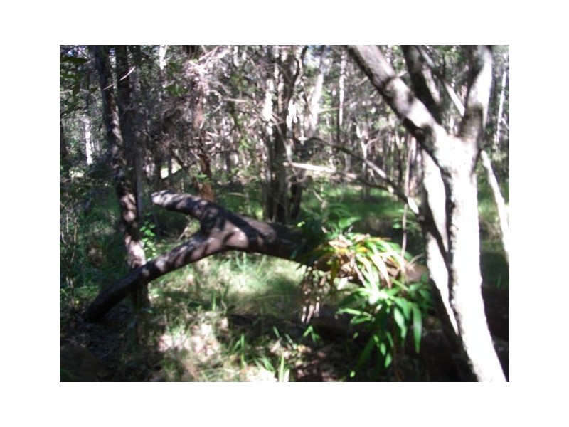 Lot 237 Chain O Ponds Road, Collombatti NSW 2440