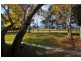 797 Armidale Road, Skillion Flat NSW 2440