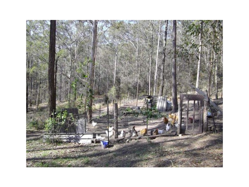 2845 Armidale Road, Hickeys Creek NSW 2440