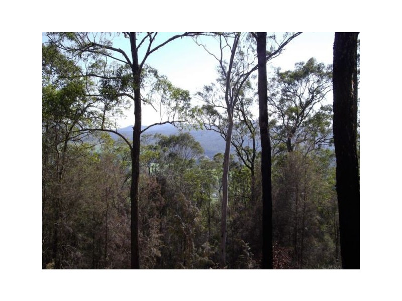 2845 Armidale Road, Hickeys Creek NSW 2440