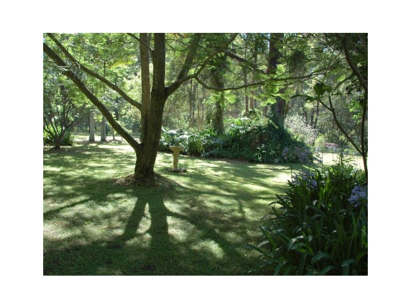 455 Pipers Creek Road, Dondingalong NSW 2440