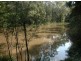 455 Pipers Creek Road, Dondingalong NSW 2440