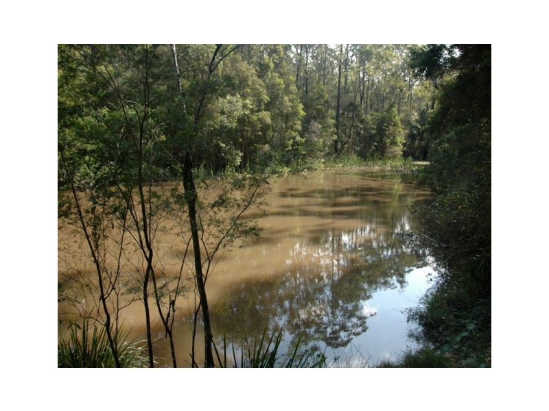 455 Pipers Creek Road, Dondingalong NSW 2440