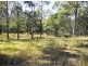 Lot 116 Bastows Lane, Collombatti NSW 2440