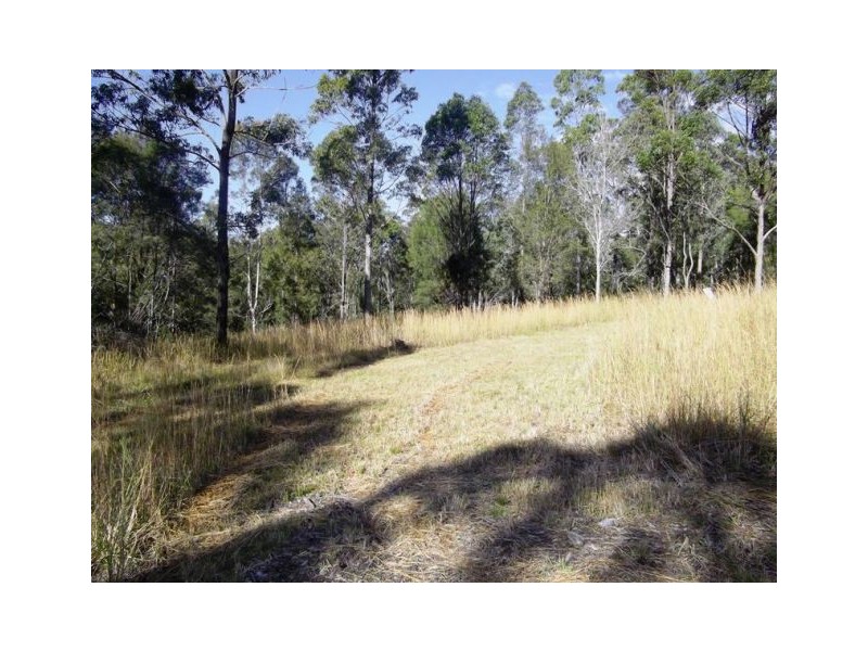 Lot 116 Bastows Lane, Collombatti NSW 2440