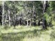Lot 116 Bastows Lane, Collombatti NSW 2440