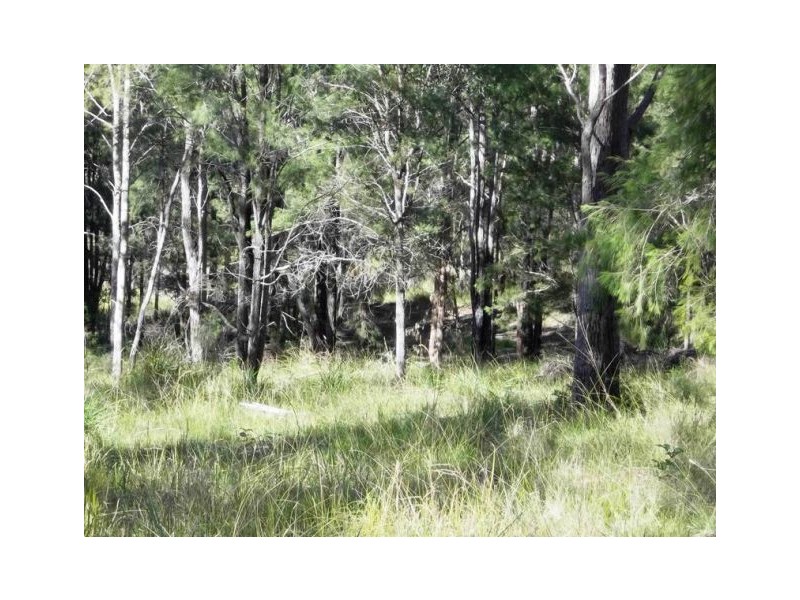 Lot 116 Bastows Lane, Collombatti NSW 2440