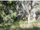 Lot 116 Bastows Lane, Collombatti NSW 2440