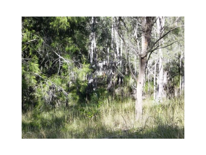 Lot 116 Bastows Lane, Collombatti NSW 2440
