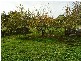Somerset TAS 7322