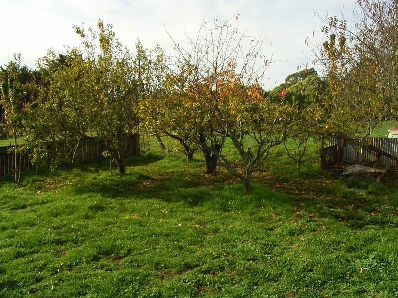 Somerset TAS 7322