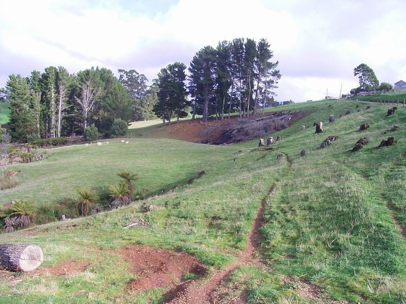 Mount Hicks TAS 7325