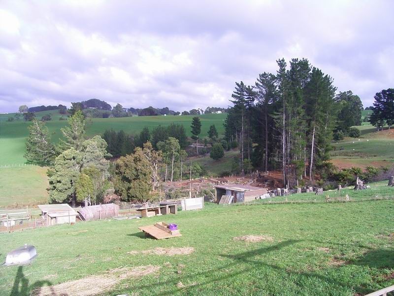 Mount Hicks TAS 7325