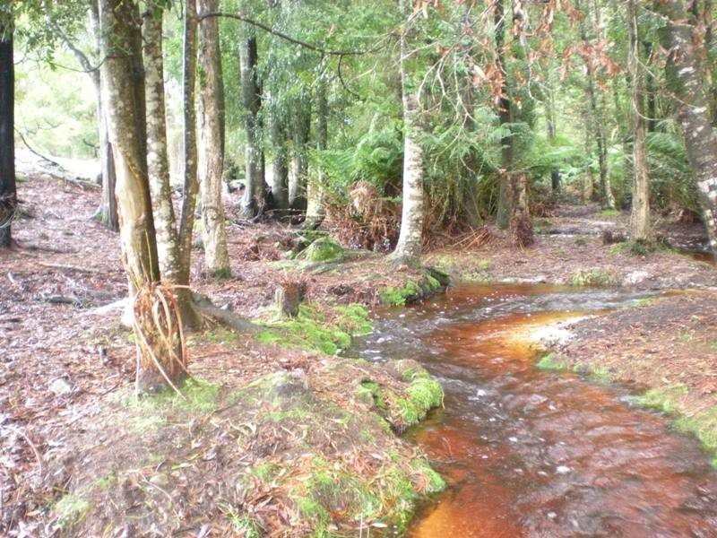 Sisters Creek TAS 7325