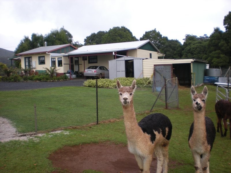 Sisters Creek TAS 7325