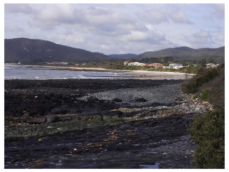 Sisters Beach TAS 7321
