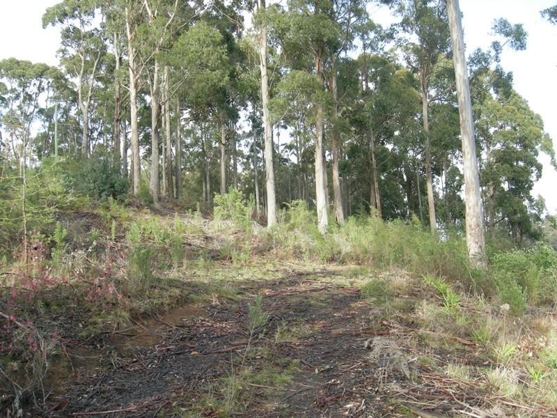 Somerset TAS 7322