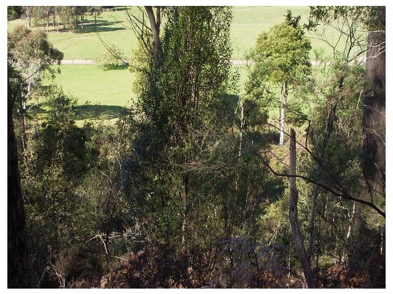 Wynyard TAS 7325