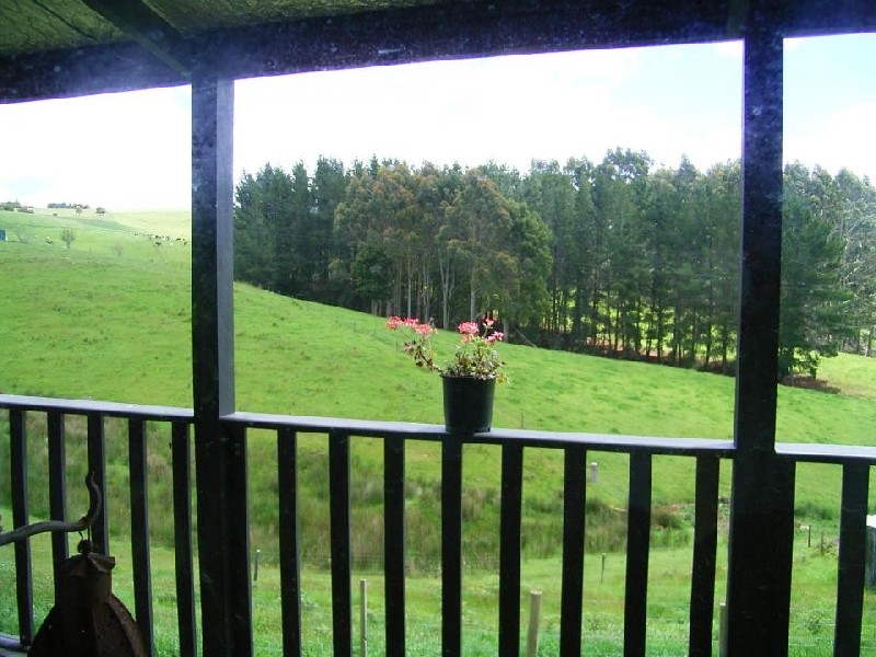 Mount Hicks TAS 7325