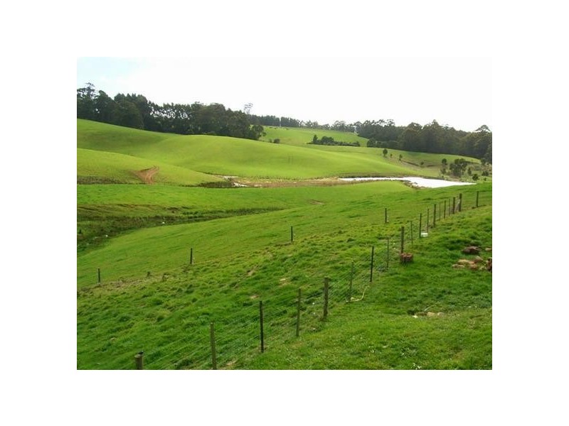 Mount Hicks TAS 7325