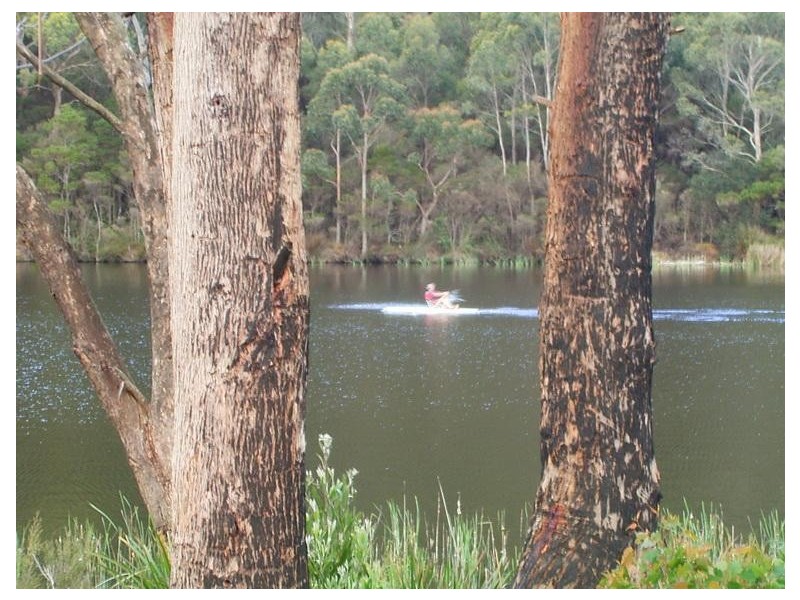 Sisters Beach TAS 7321