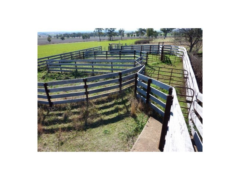 1 Laheys Creek Road, Dunedoo NSW 2844