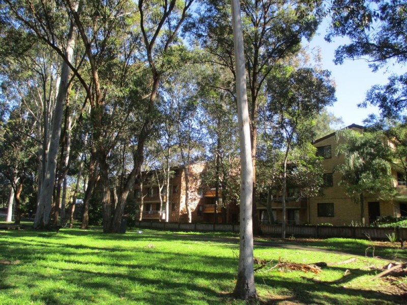 17/199 Waterloo Road, Marsfield NSW 2122