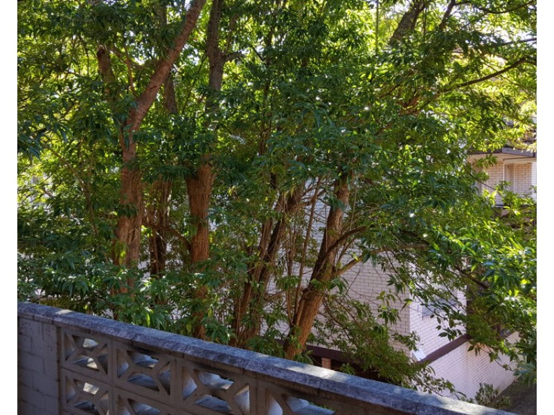 9/11 Cottonwood Crescent, Macquarie Park NSW 2113