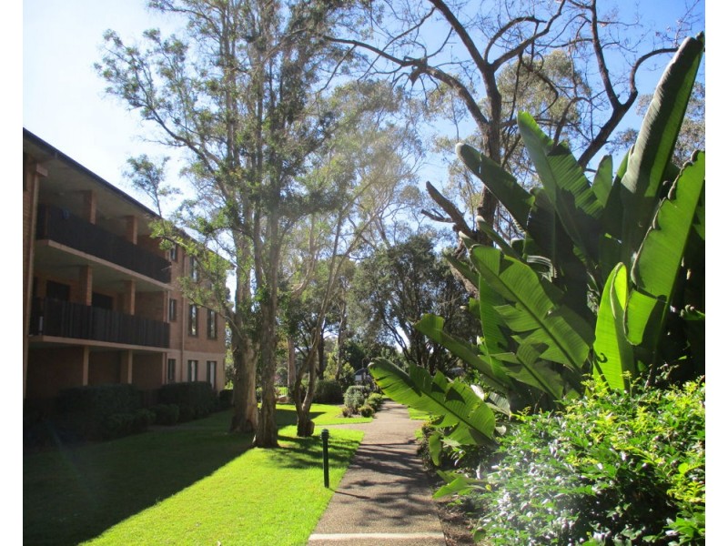 19/35 Fontenoy Road, Macquarie Park NSW 2113